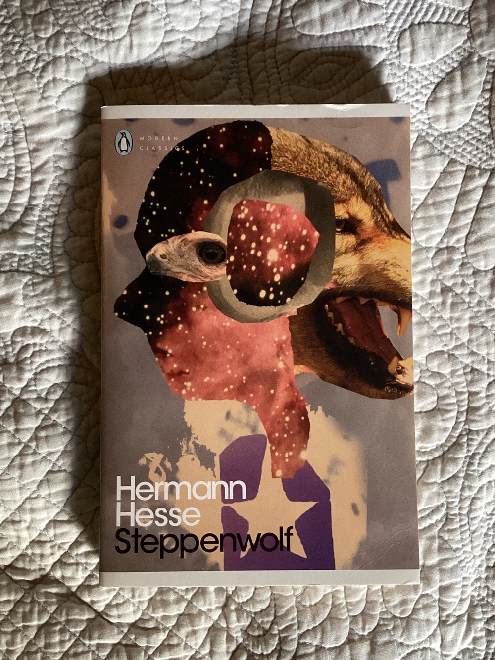 Herman Hesse’s Steppenwolf - brand new